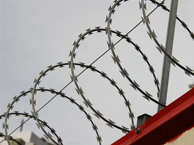 Single Coiled Razor Barbed Wire
