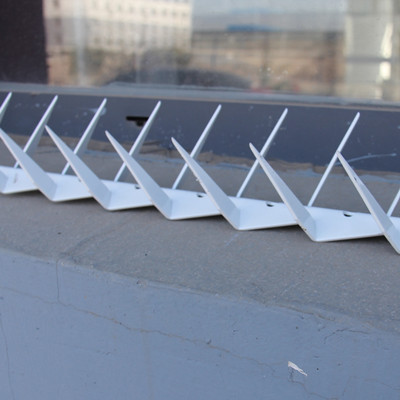 Small Sized Wall Spike
